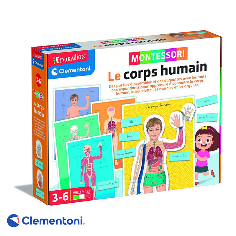 Le Corps Humain Montessori – Clementoni – Image 4